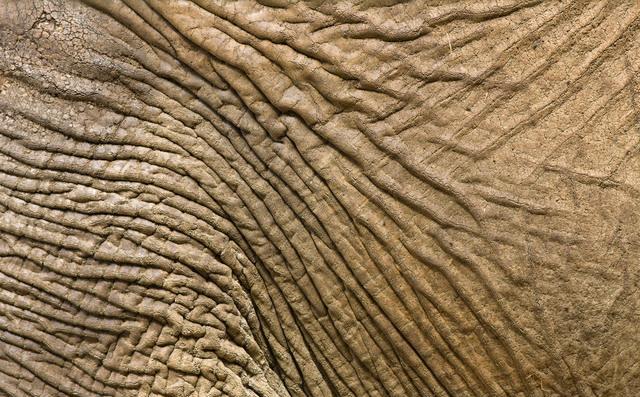 AbstractTexture 23