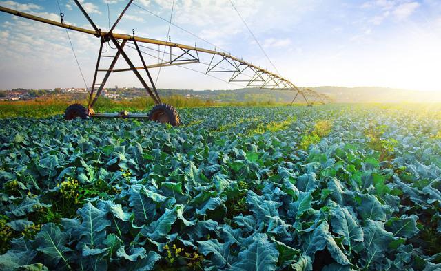 Agriculture