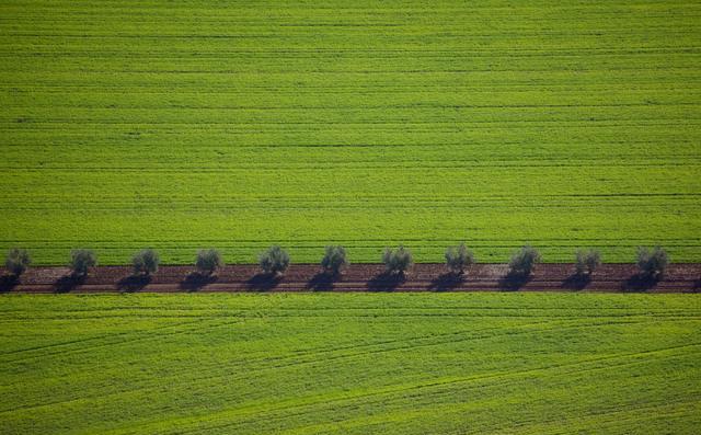 Agriculture 12