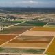 Agriculture 16