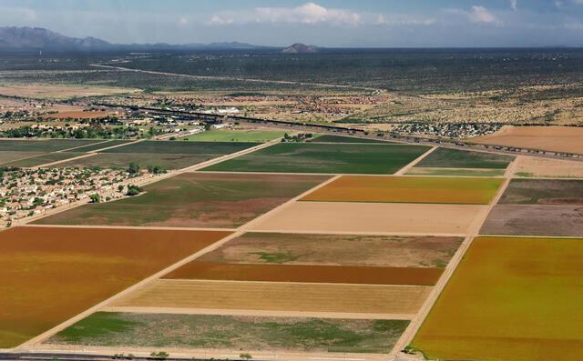 Agriculture 16