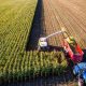 Agriculture 17