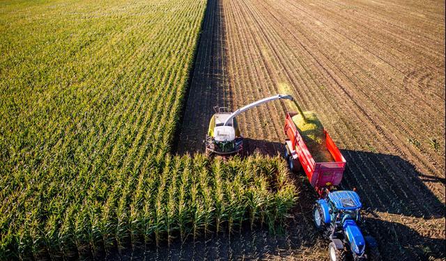 Agriculture 17