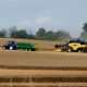 Agriculture 19
