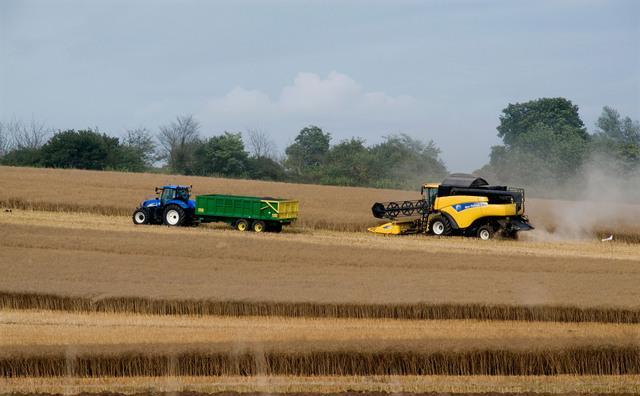 Agriculture 19
