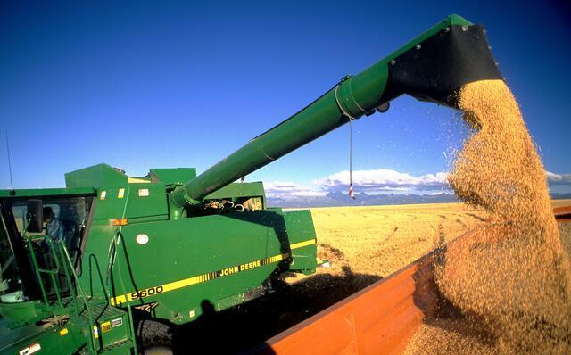 Agriculture 20