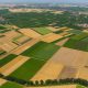Agriculture 21