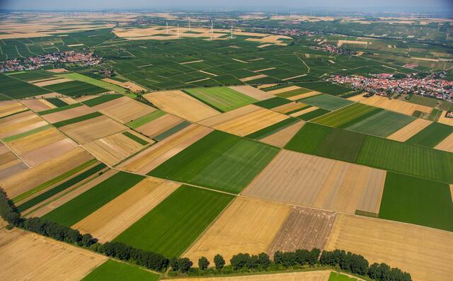 Agriculture 21
