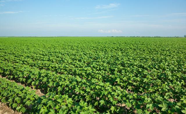 Agriculture 23