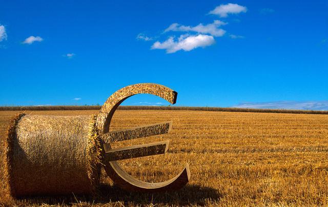 Agriculture 4