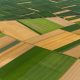 Agriculture 40