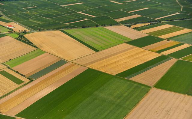 Agriculture 40