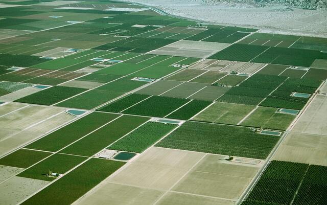 Agriculture 43