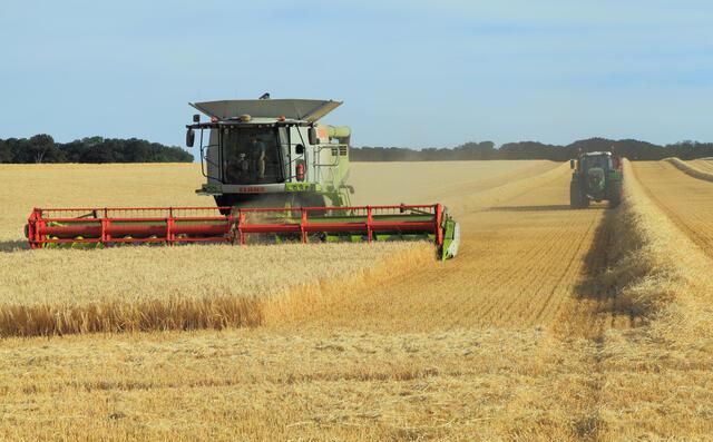 Agriculture 45