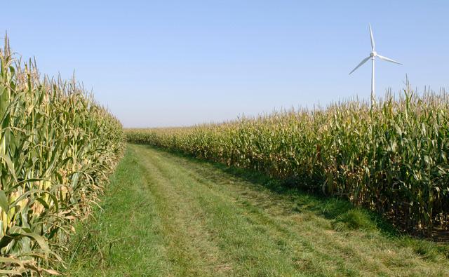 Agriculture 48