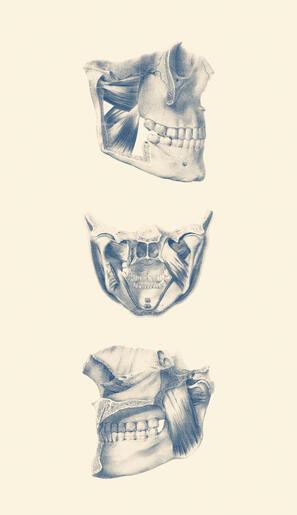 Vintage 14
